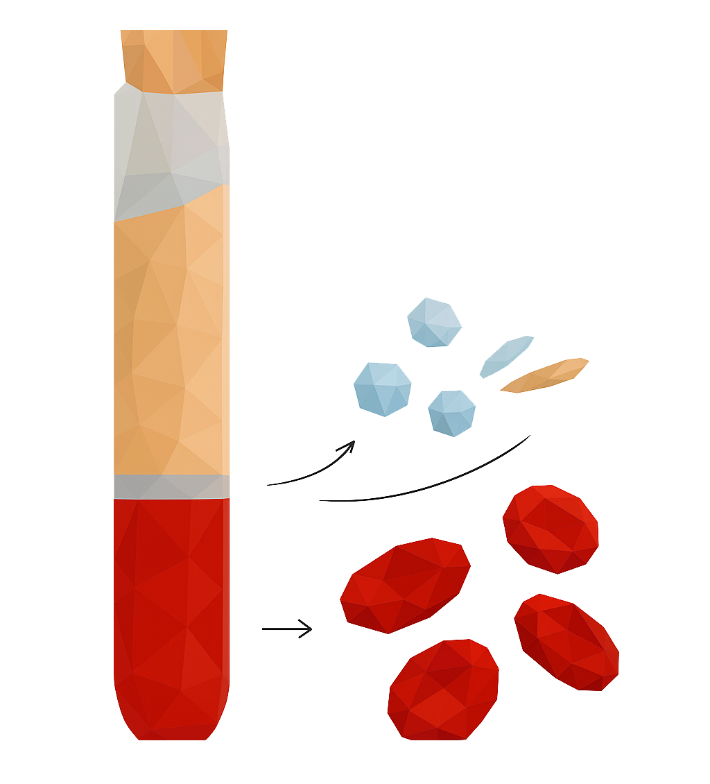 Blood tube