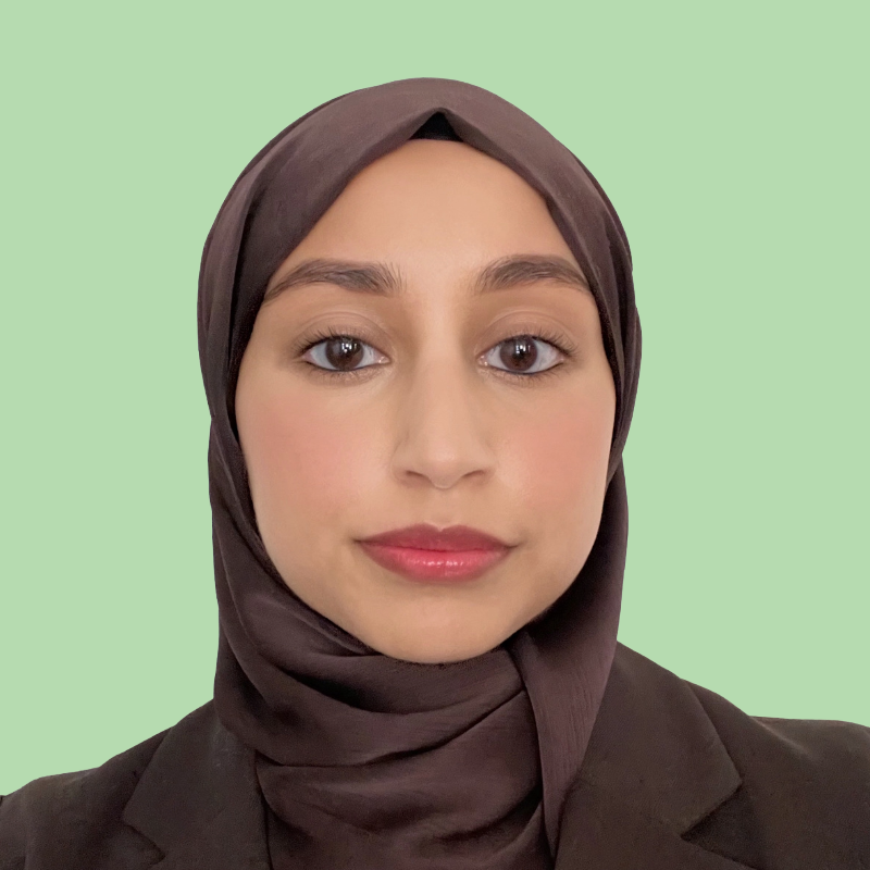 Dr Nahrin Raza